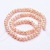Natural Cultured Freshwater Pearl Beads Strands PEAR-F004-25-01-2