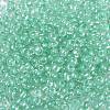 6/0 Glass Seed Beads X-SEED-A015-4mm-2219-2