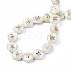 Natural Freshwater Shell Beads SHEL-S276-168M-4