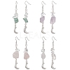 Natural Mixed Gemstone Chips Dangle Earrings EJEW-JE05433-1