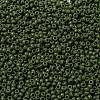 MIYUKI Round Rocailles Beads X-SEED-G008-RR0501-3