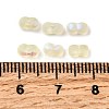 Glass Frosted Seed Beads SEED-NH0002-01F-3