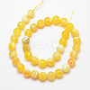 Natural Fire Crackle Agate Bead Strands X-G-K166-07F-10mm-17-2