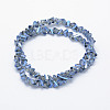 Electroplate Glass Beads Strands EGLA-J143-B-FR01-2