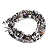 Dyed Natural Fire Crackle Agate Beads Strands G-G007-01H-3