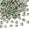 Picasso Glass Seed Beads SEED-TADJ0001-05J-1