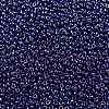 MIYUKI Round Rocailles Beads SEED-X0055-RR0434-3
