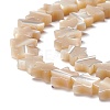 Natural Trochid Shell/Trochus Shell Beads SSHEL-O001-25B-01-2