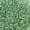 6/0 Transparent Inside Colours Glass Seed Beads SEED-P006-01A-03-3