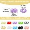50G 10 Colors Baking Paint Glass Seed Beads SEED-YW0002-51C-2