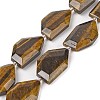 Natural Tiger Eye Beads Strands G-P548-A05-01-1