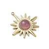 Natural Tiger Eye/Rose Quartz/Lapis Lazuli/Green Aventurine/Amethyst Pendants PALLOY-JF03245-4