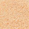 MIYUKI Round Rocailles Beads X-SEED-G007-RR0282-2