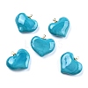Handmade Lampwork Pendants LAMP-G160-01Q-1