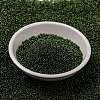 MIYUKI Round Rocailles Beads SEED-X0056-RR0306-2