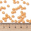 6/0 Glass Seed Beads X1-SEED-L011-08A-19-4