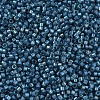 MIYUKI Delica Beads X-SEED-J020-DB2384-3