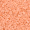 FGB Frosted Transparent Glass Seed Beads SEED-N013-05A-04-3
