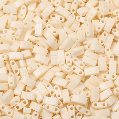 MIYUKI Half TILA Beads SEED-MY05-HTL491-1