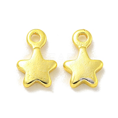 Rack Plating Brass Charms KKB-L075-013G-01-1