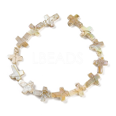 Drawbench Style Natural Freshwater Shell Beads Strands BSHE-G036-01-1