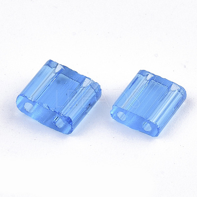 2-Hole Glass Seed Beads SEED-T003-01C-06-1