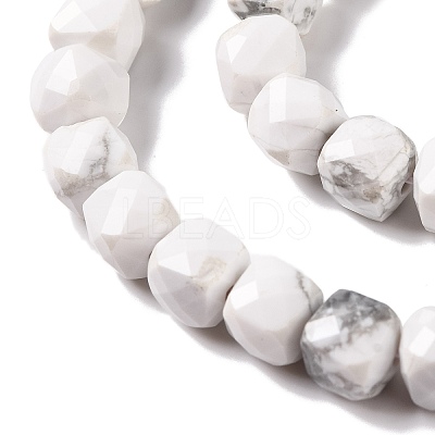Natural Howlite Beads Strands G-G001-B03-06-1