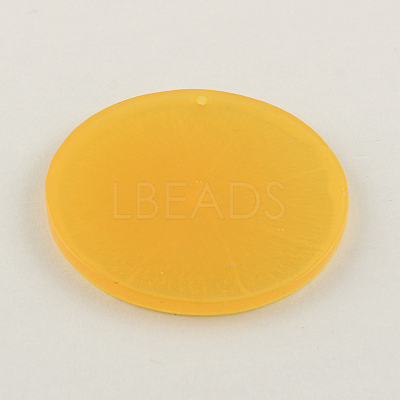 Resin Fruit Pendants RESI-R130-02-1