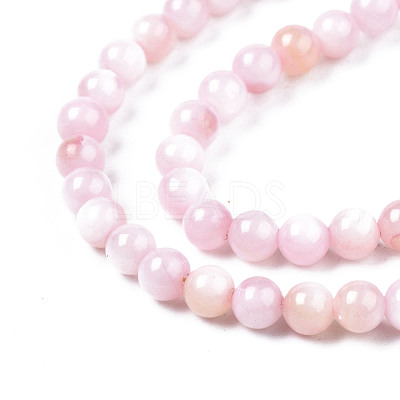 Natural Freshwater Shell Beads Strands BSHE-T009A-01C-1