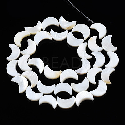 Natural Freshwater Shell Beads Strands SHEL-Q024-015B-1