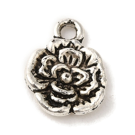 Tibetan Style Alloy Pendants TIBEP-L021-04AS-02-1