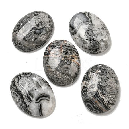 Natural Map Stone Cabochons G-C115-01B-48-1