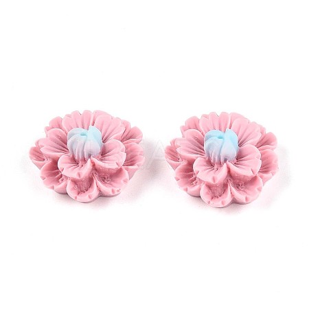 Resin Decoden Cabochons CRES-T025-04E-1