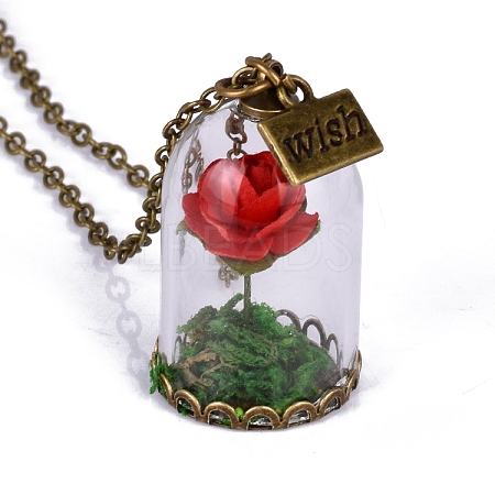 Glass Dried Flower Wishing Bottle Pendant Necklace PW-WG33087-01-1