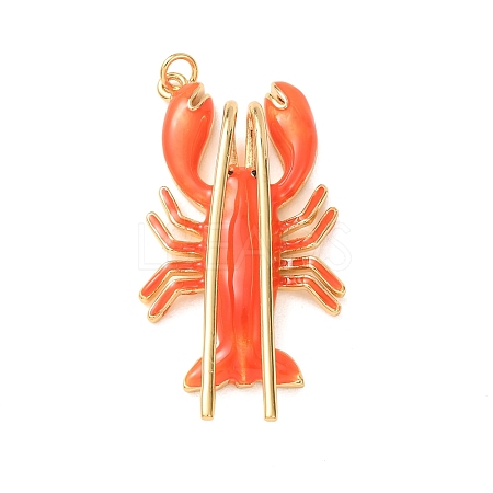 Brass with Enamel Pendants KK-CBA2F11-10G-02-1