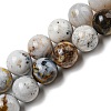 Natural Dendritic Opal Beads Strands G-R494-A16-03-1
