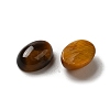 Natural Tiger Eye Cabochons G-F605E-19B-2