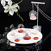 8 Sets 8 Style Round Glass Dome Cover AJEW-PH0004-87-4