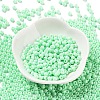 Baking Paint Glass Seed Beads SEED-H002-I-A524-2
