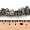 Natural Labradorite Beads Strands G-I283-F14-5