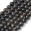 Natural Iolite Beads Strands G-K366-G02-01-2
