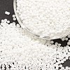 12/0 Glass Seed Beads SEED-J014-F12-41-1