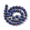 Natural Lapis Lazuli Round Bead Strands X-G-E262-01-10mm-5
