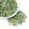 Picasso Transparent Glass Seed Beads SEED-N012-11H-1
