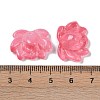 Baking Paint Glass Beads X-GLAA-S202-13J-3