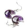 Natural Amethyst Crescent Moon Dangle Earrings EJEW-P241-01P-02-2