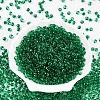 3/0 Baking Paint Glass Fringe Seed Beads SEED-A034-04I-1