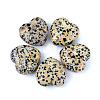 Natural Dalmatian Jasper Healing Stones PW-WGA91AE-11-1