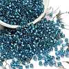 TOHO 6/0 Round Beads SEED-TR06-0274-1