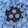 Frosted Transparent Acrylic Beads OACR-P029-03B-01-1
